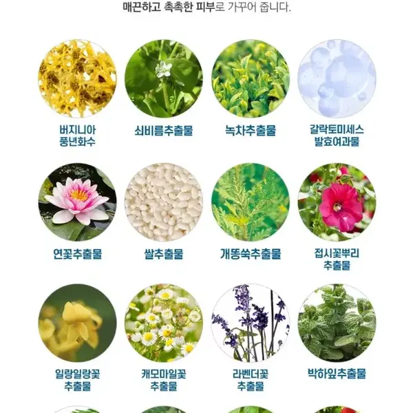 (남성화장품) 퍼펙트 올인원 2종한세트 미개봉새제품 - 8번째 이미지