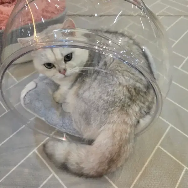 아크릴통