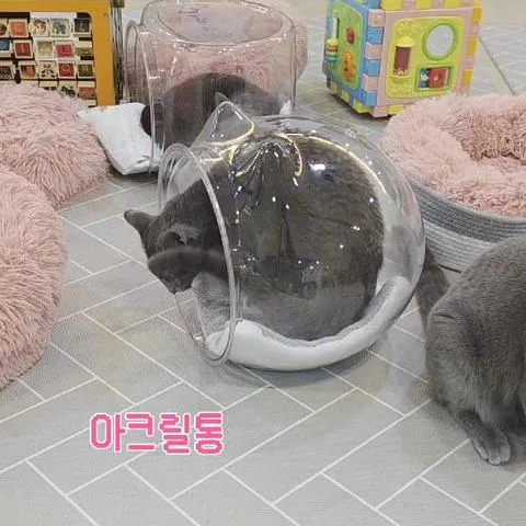 아크릴통 - 2번째 이미지