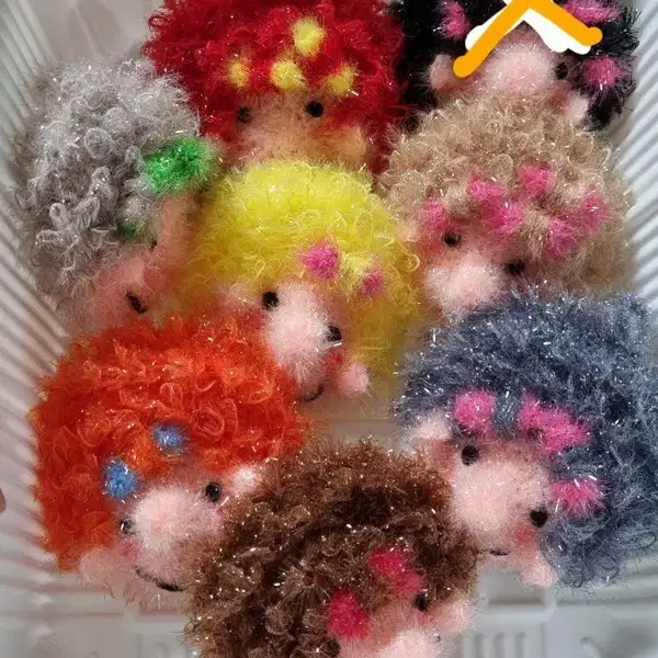 뽀글머리수세미