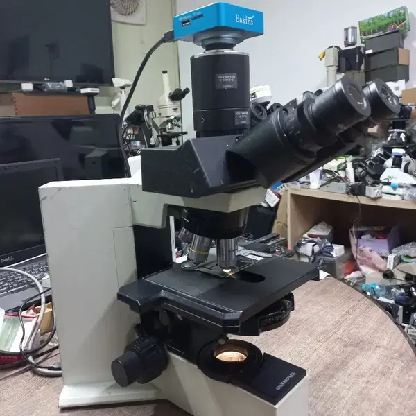 OLYMPUS BX40 3안CCD 위상차현미경 싸게판매합니다 - 4번째 이미지