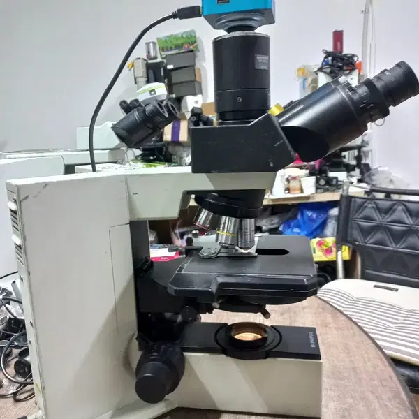 OLYMPUS BX40 3안CCD 위상차현미경 싸게판매합니다 - 2번째 이미지
