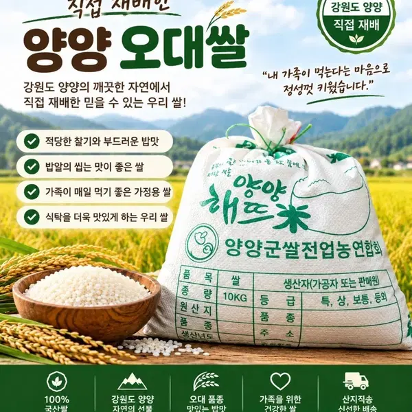 26년산 양양 오대쌀 10키로